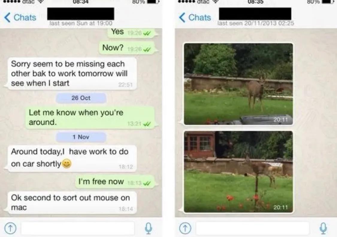 全球十大最受欢迎的应用程序,世界十大应用排行榜