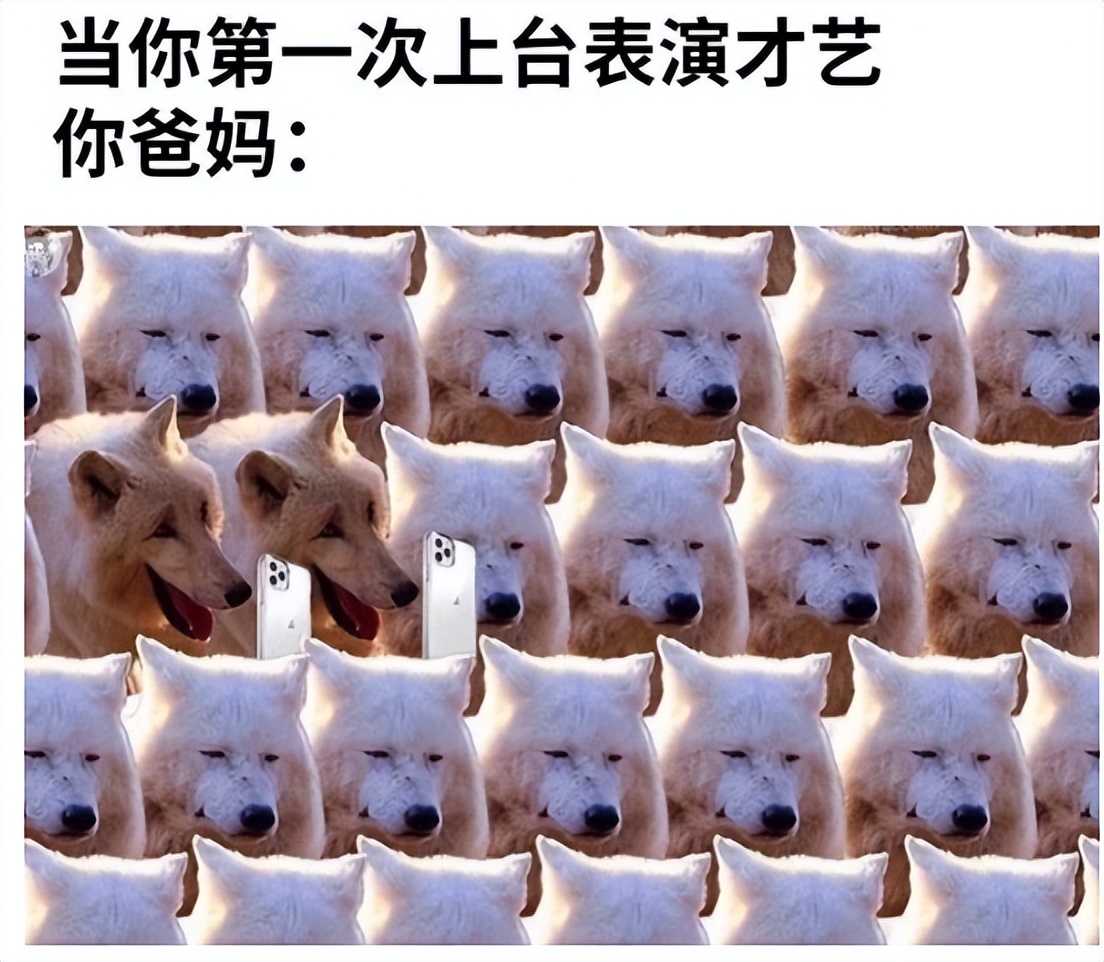 让人笑一整天的25张图片,几张让你笑掉大牙的图片