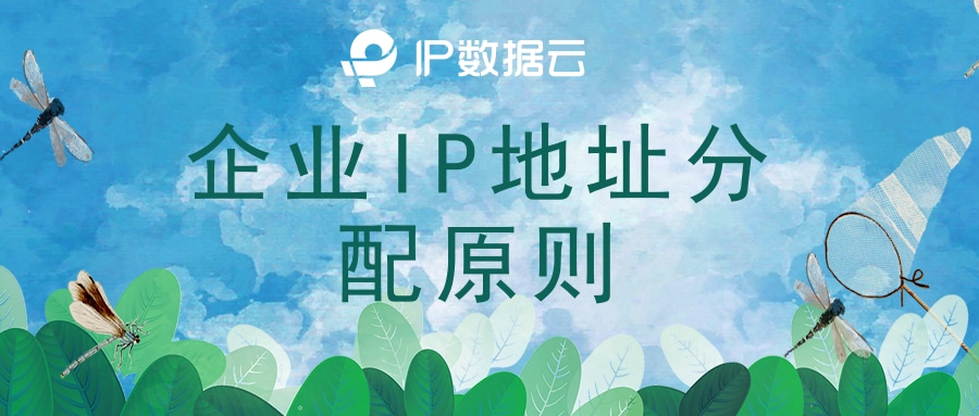 企业ip地址申请,企业ip地址管理系统