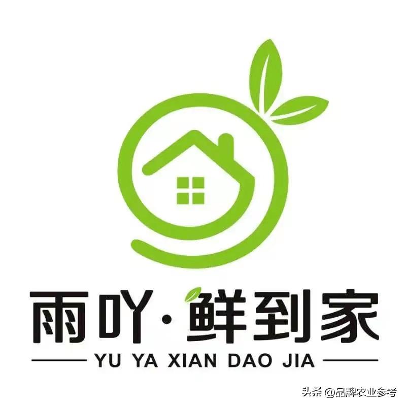 卖服装→卖农品→卖品牌,95后种田CEO助农创收300万