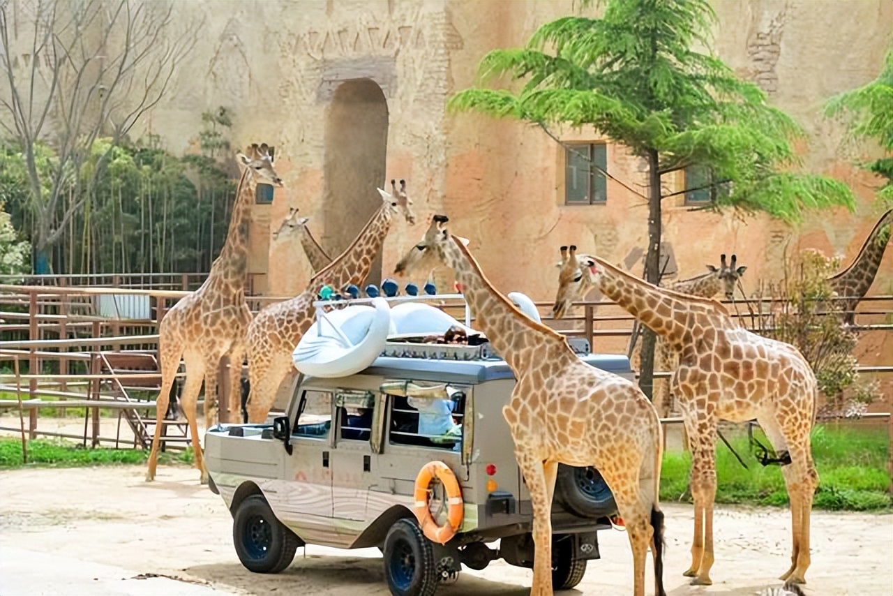 清明假期免费景点郑州周边,清明小长假适合去哪里玩郑州附近