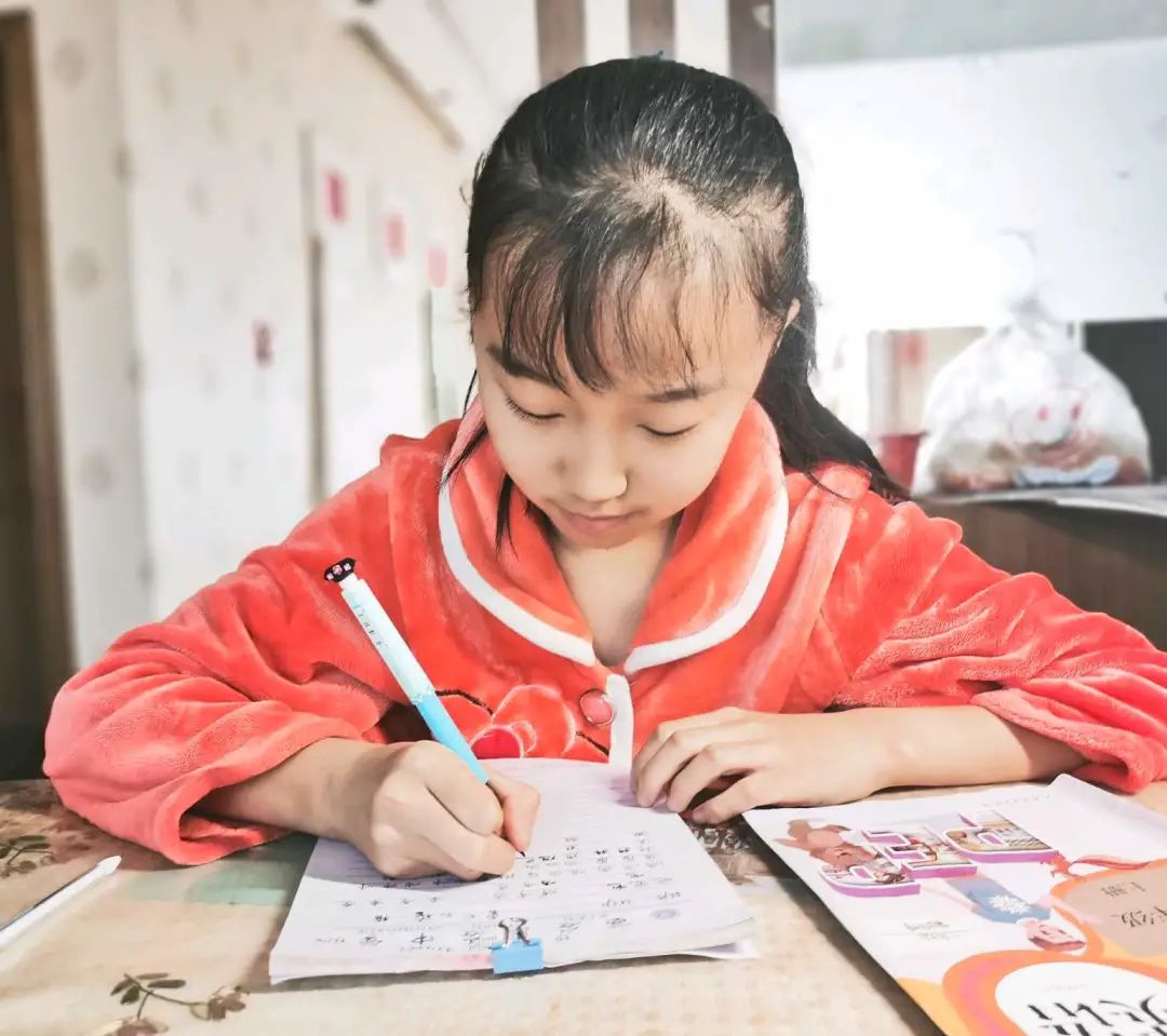 这姑娘，养仓鼠都养出了诗意