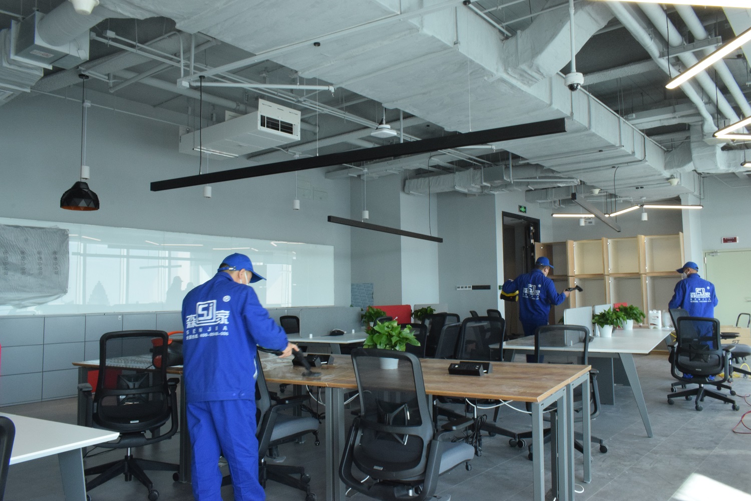 除甲醛十大品牌植物,除甲醛喷雾剂十大品牌