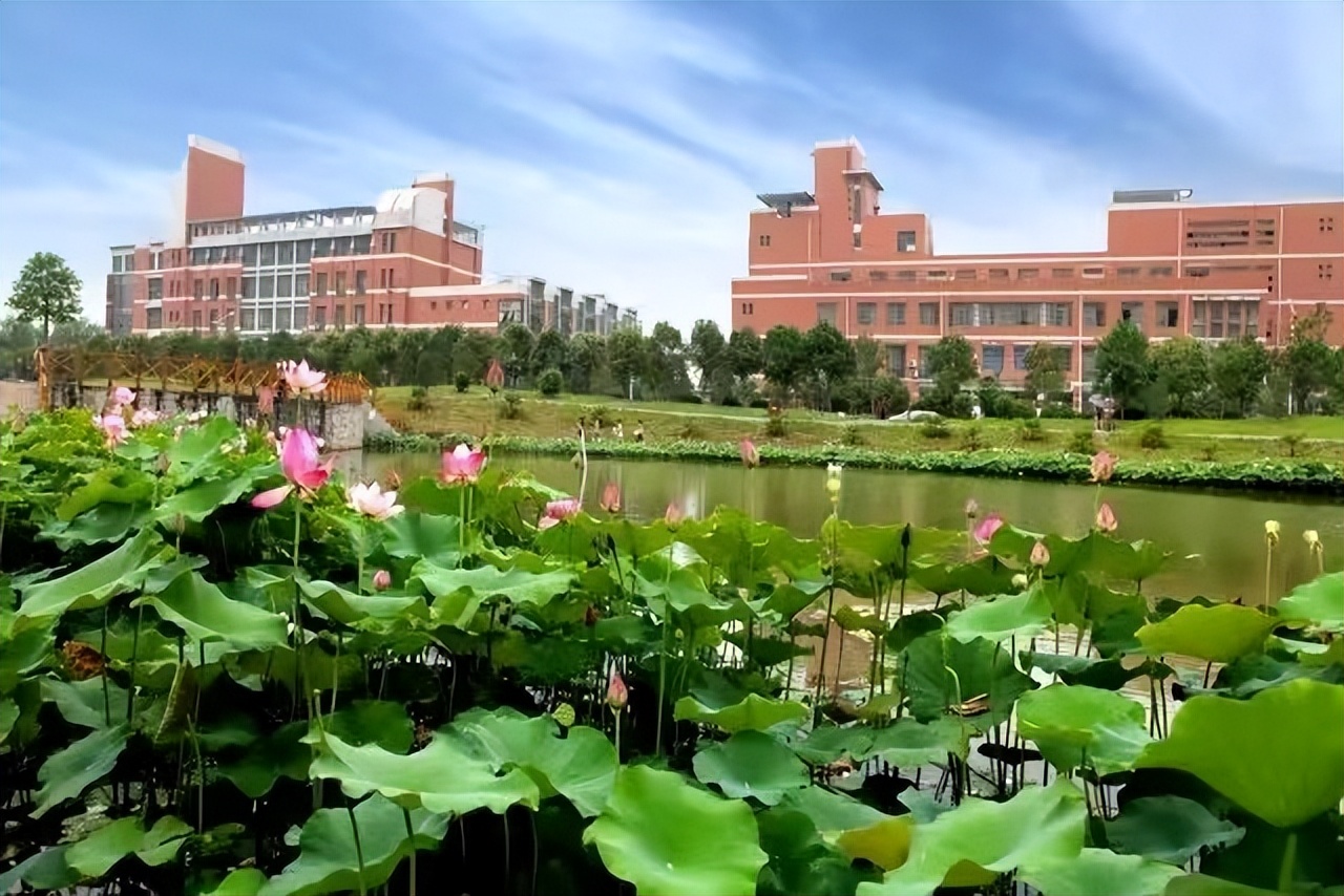 河南理工大学机械制造专业怎么样,河南理工大学公共管理专业怎么样