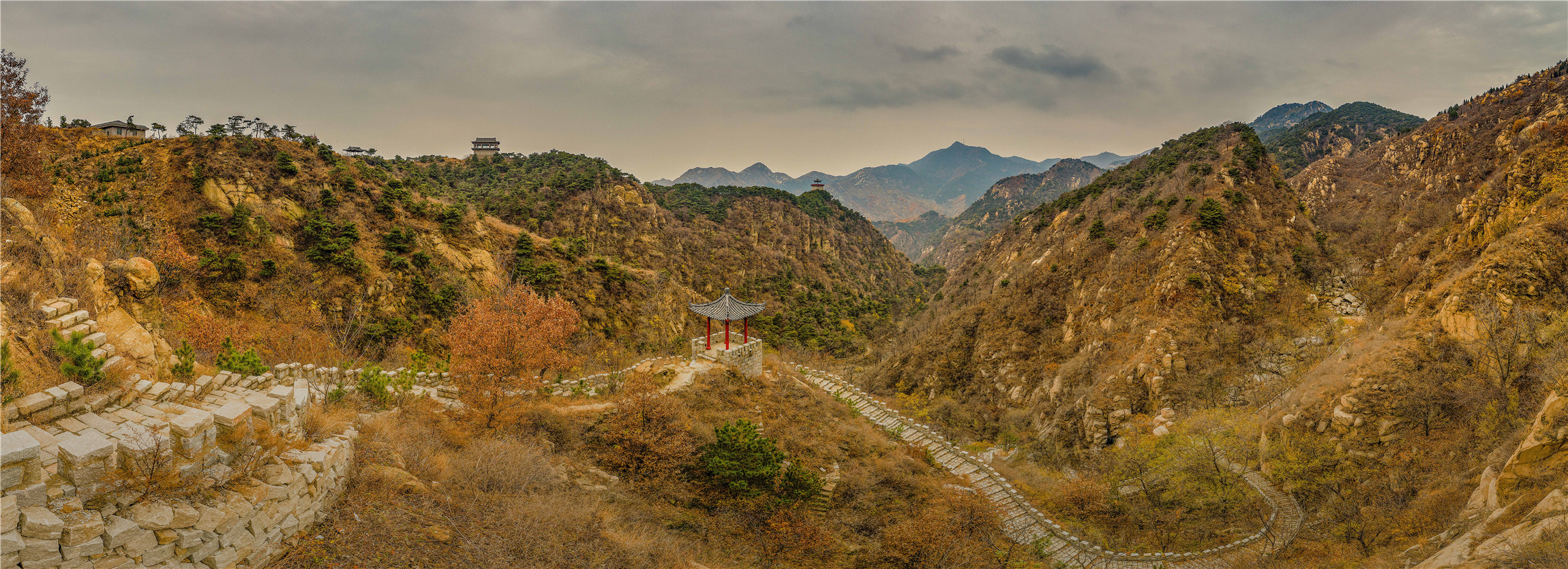 入秋济南好去处,济南秋季看花打卡地