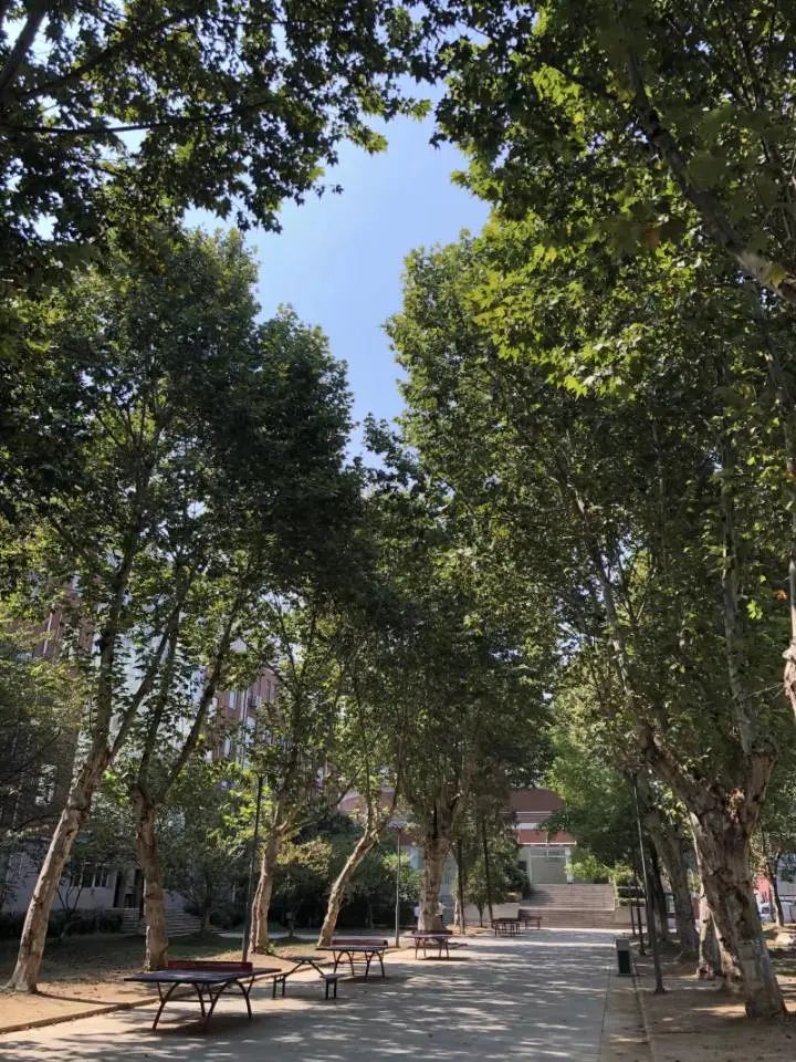 姝︽眽鐧惧勾鍚嶆牎,姝︽眽鐧惧勾楂樹腑