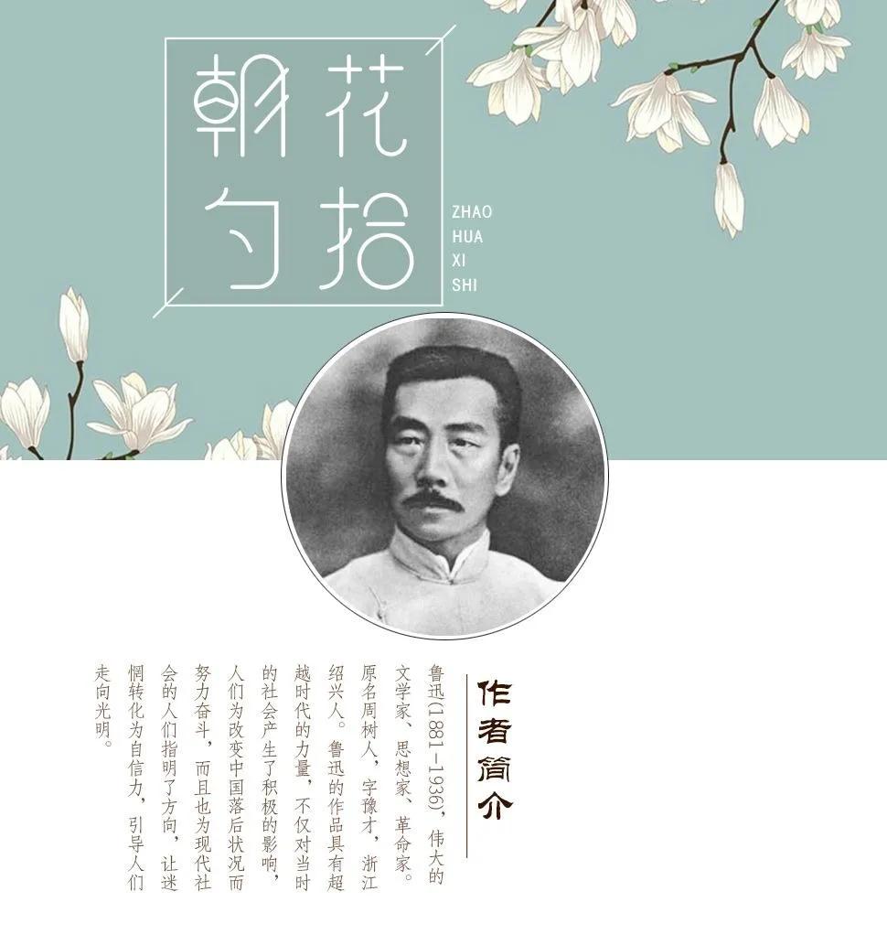 追梦华录视频,追梦华录电视剧