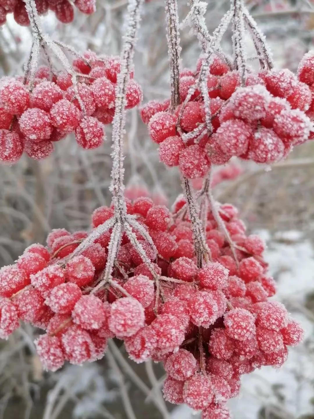 去医院看病人去两次合适吗,去医院看医生第二次还要预约吗