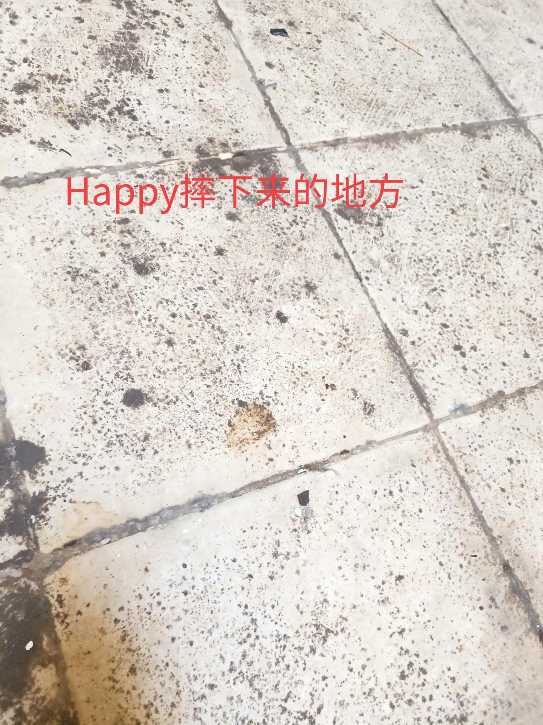 happy鎴戠殑濂冲鎻掓洸,浣爃appy鎴戜篃happy