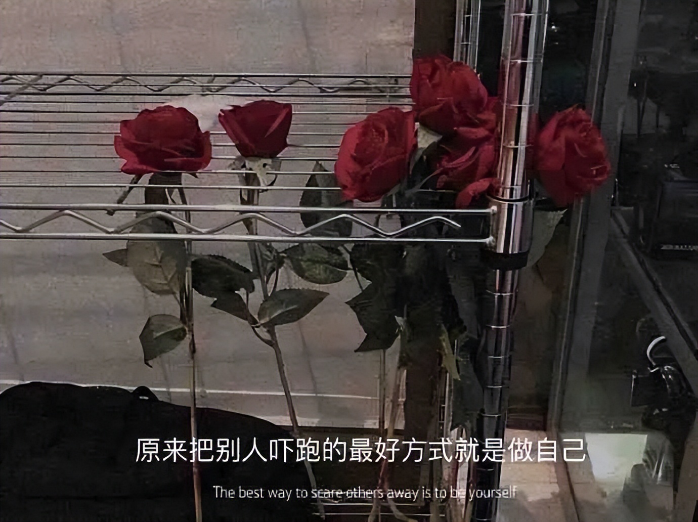 转发视频分享心得是什么意思,转发视频的人的感悟