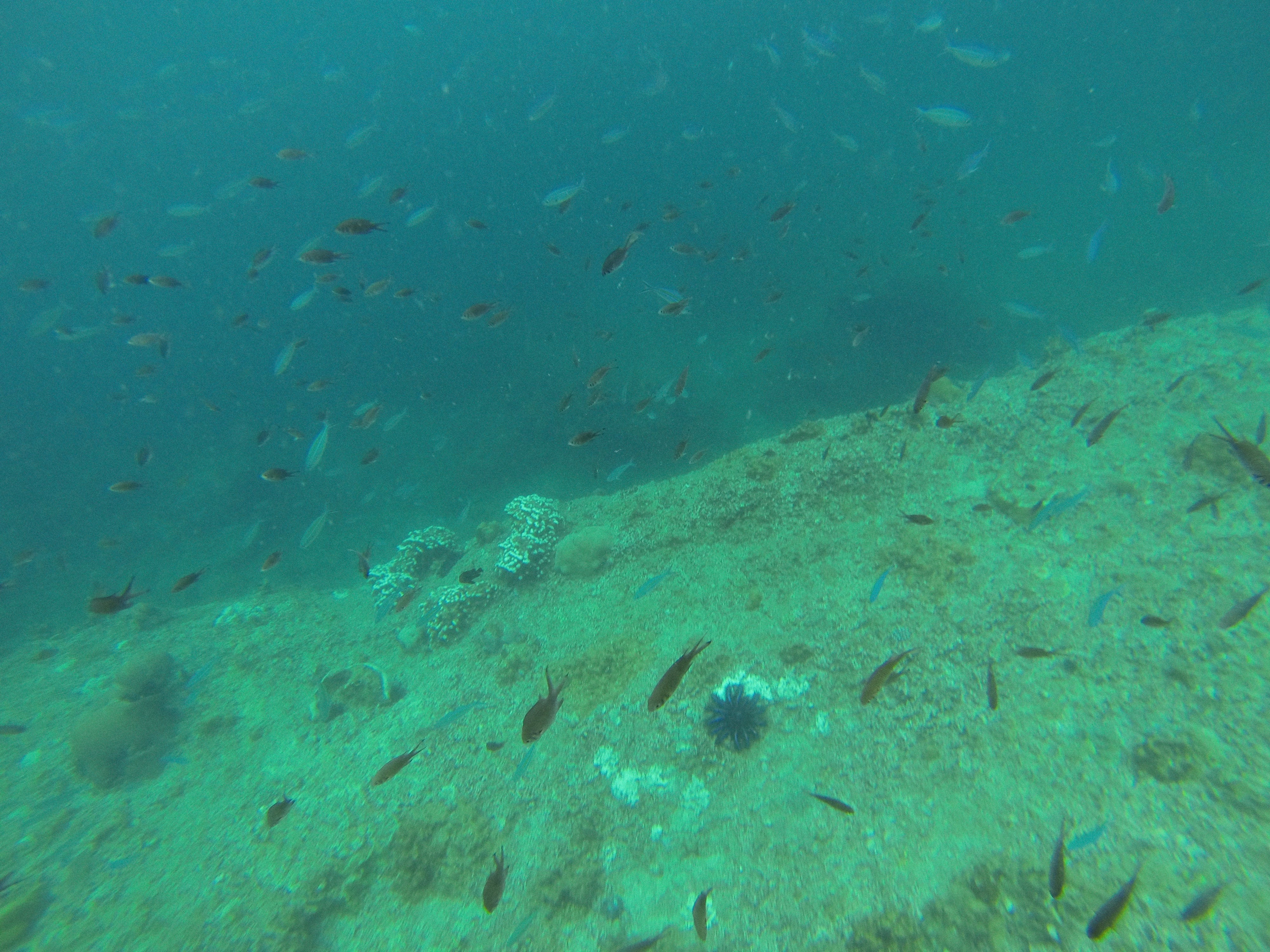 邯郸市耘农智慧,邯郸市耘农智慧农业科技有限公司