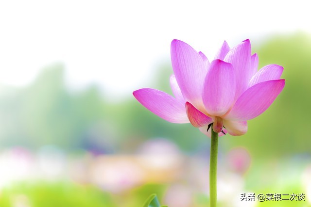 婆婆觉得我家钱是她儿子赚得，用的很心安，我妈却不舍的用我们的