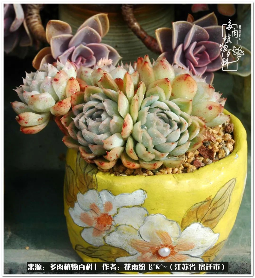 回味童年无忧无虑的快乐时光,童年最快乐的时光