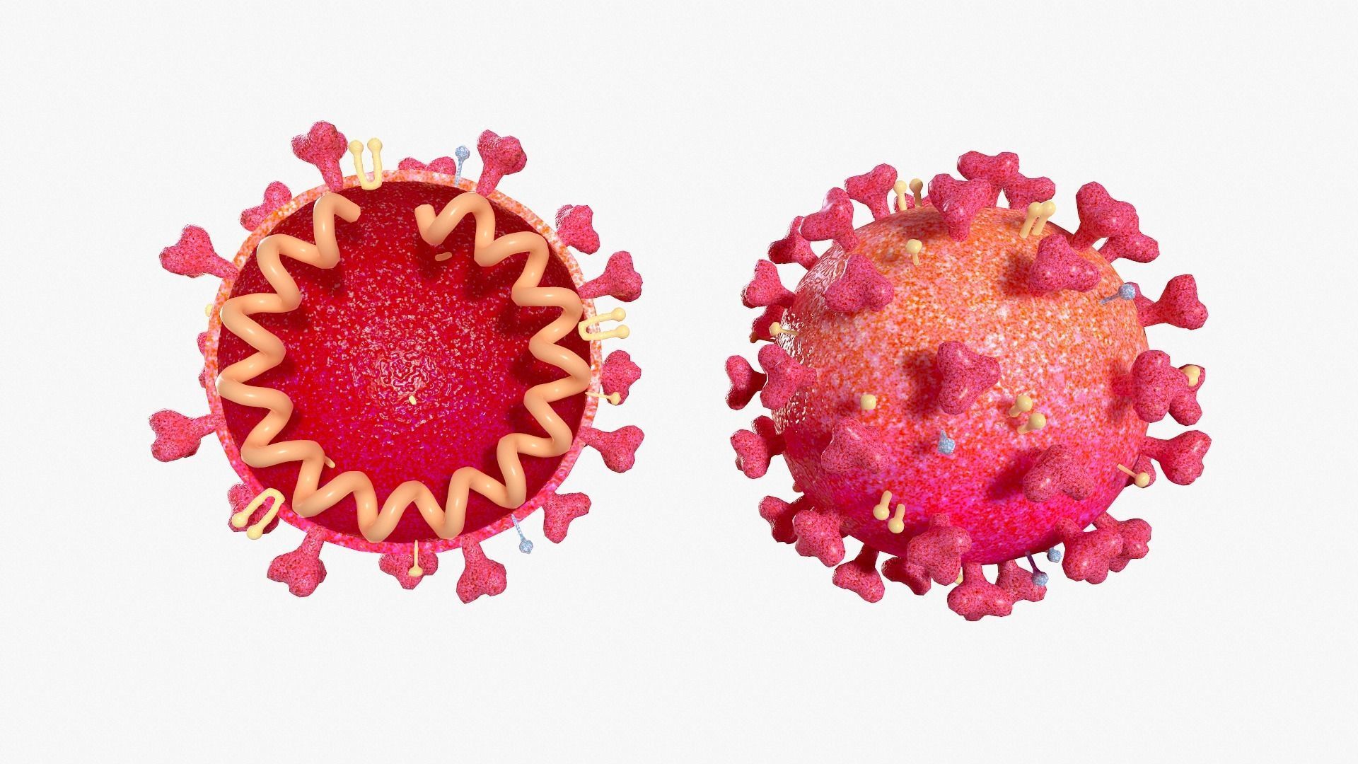 张仲景伤寒论历史背景,伤寒论历史传承及流派