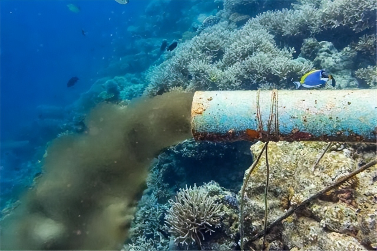 中国解除对日本水产禁令了吗,中国对日本食品山梨禁令解除了么