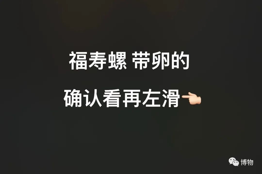 吃螺有粘液可以直接吃吗,吃了螺不能吃什么