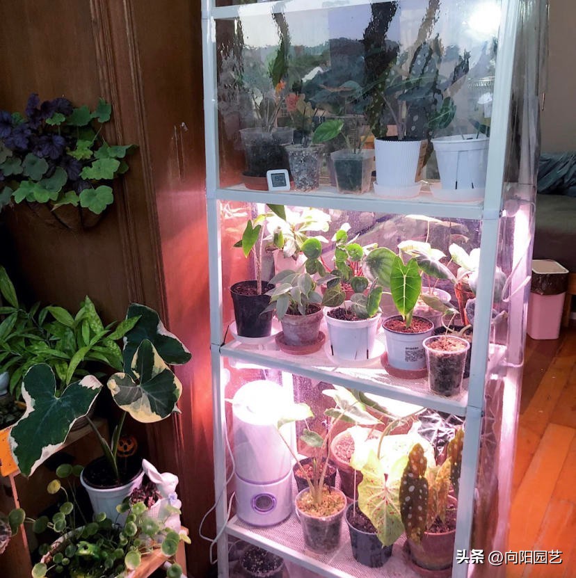 100元左右补光灯怎么选,便宜的补光灯有没有用