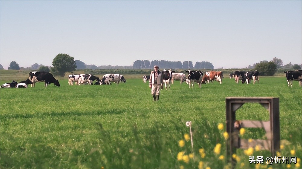 海普诺凯1897荷致奶粉甄选优质奶源,为宝宝献上高品质营养!