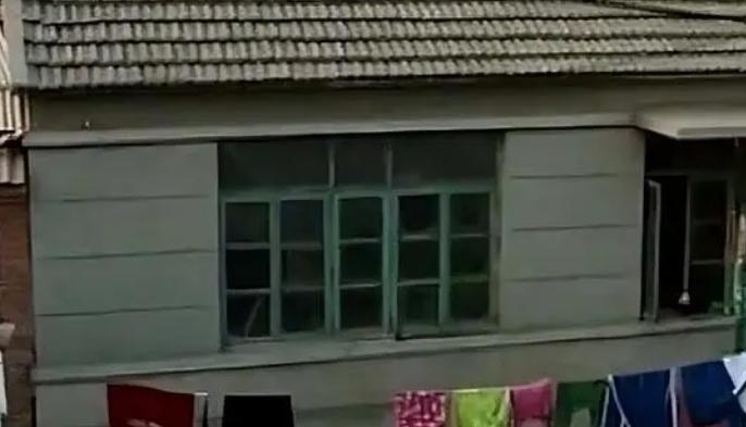 吉林农妇救了一条蛇,吉林农妇救毒蛇同吃同住12年