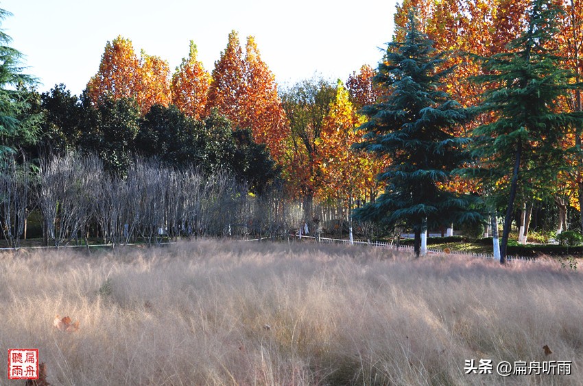 7月郑州凉快遛娃公园排行榜,郑州龙子湖避暑遛娃的地方