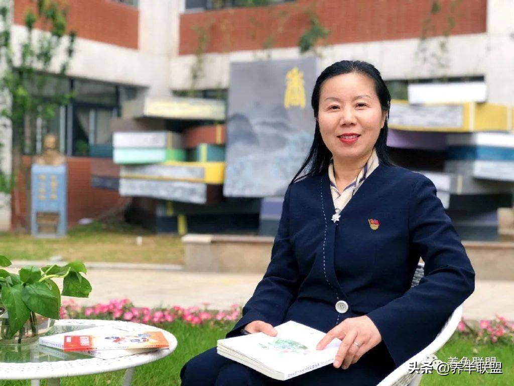 郑州市惠济区香山路小学,郑州市惠济区香山小学标志