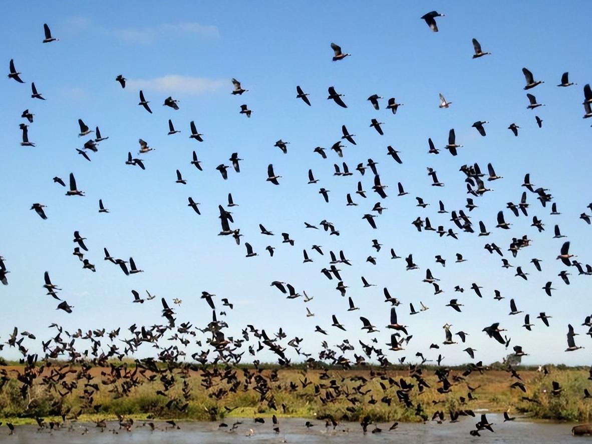 一起来看看真实的加纳,塞内加尔真实感受