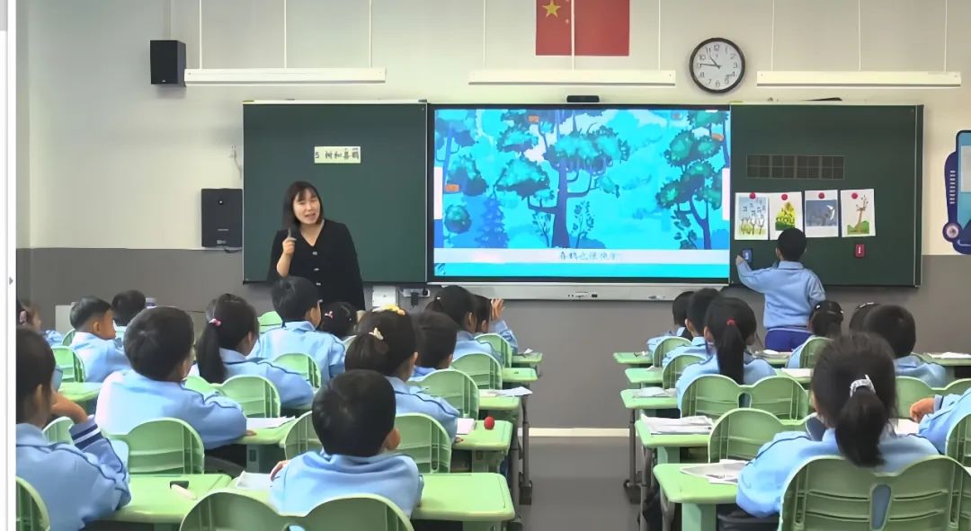 滨海小学排名前十名,青岛市小学科学优质课