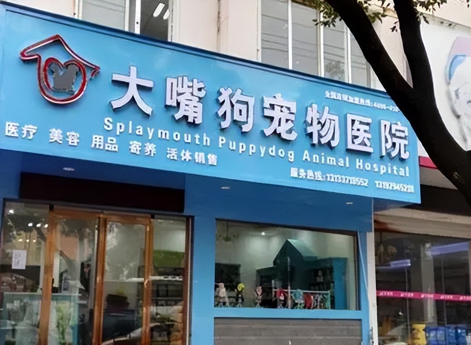 宠物店加盟创业好项目,宠物店加盟快速回本