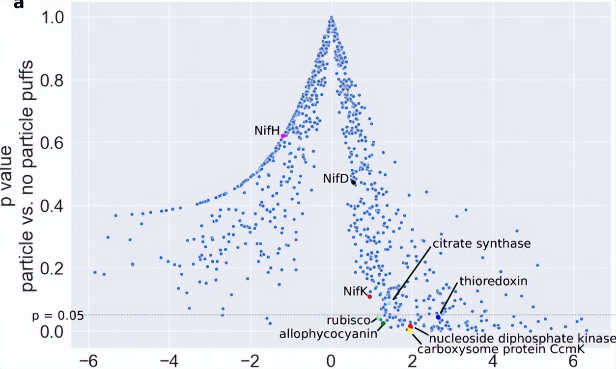 毛滴虫的营养源,毛滴虫营养源是什么