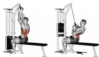 一周健身增肌训练计划,哑铃家庭一周训练计划