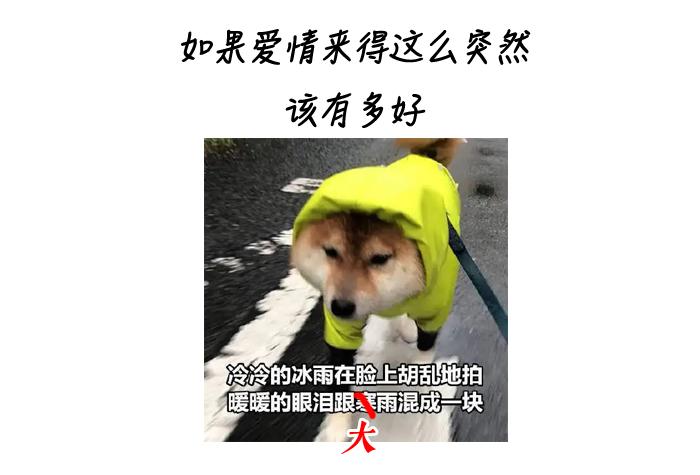 深圳龙华哪个医院治疗心梗,脑梗心梗深圳医院最好