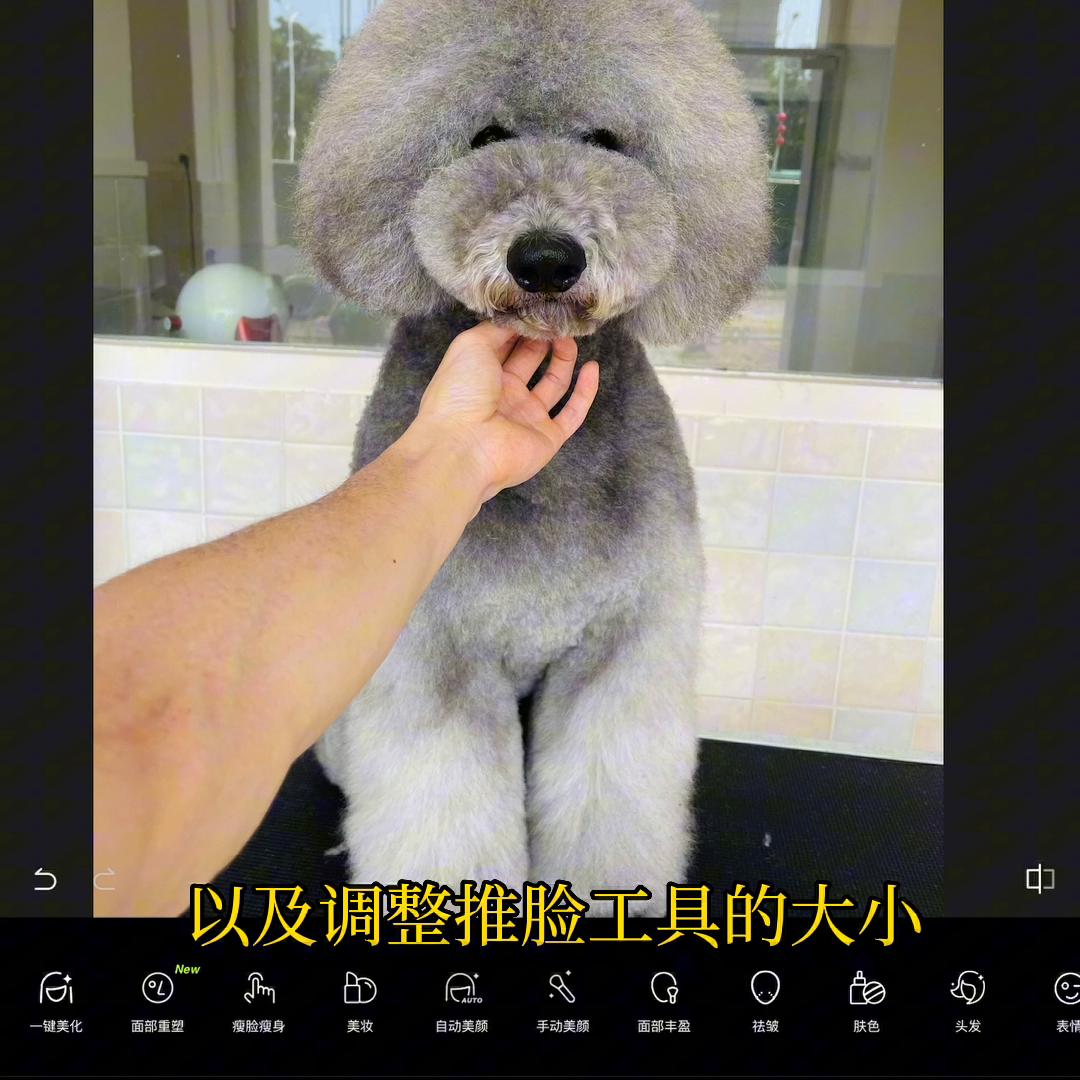 人像美容图片处理软件免费最新版,美容修图工具教程