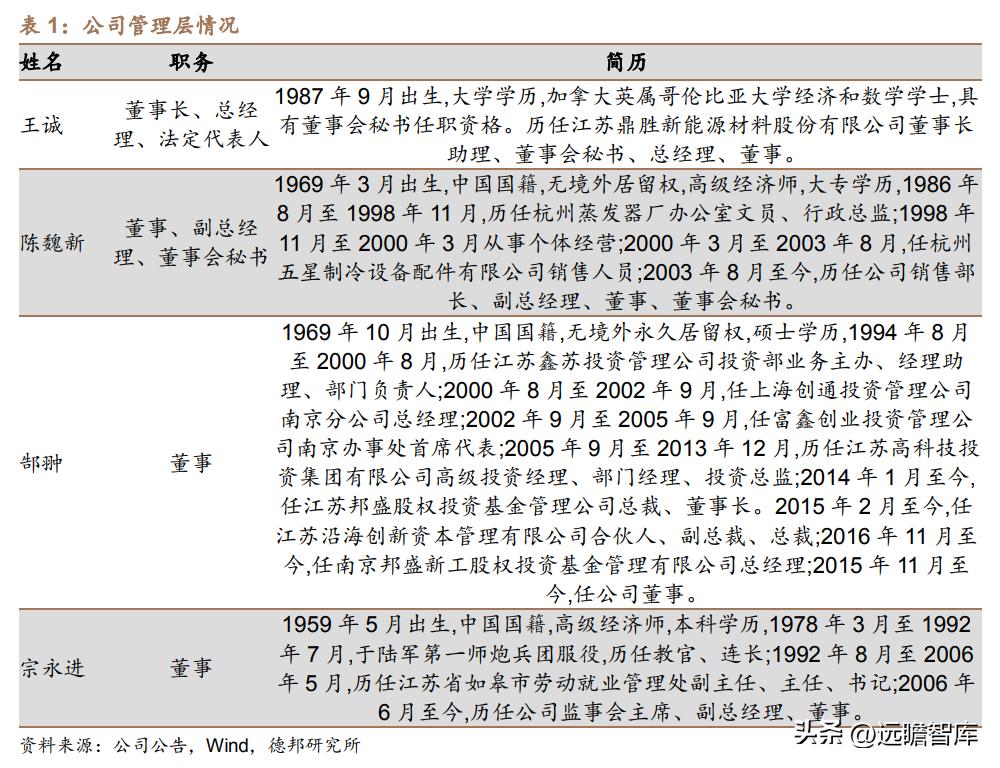 锂材铝箔龙头,鼎胜新材2019年铝箔市场占比
