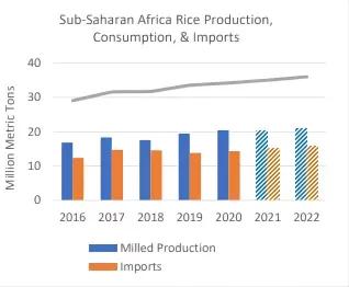 全球大米最新情况,全球粮食贸易最新消息