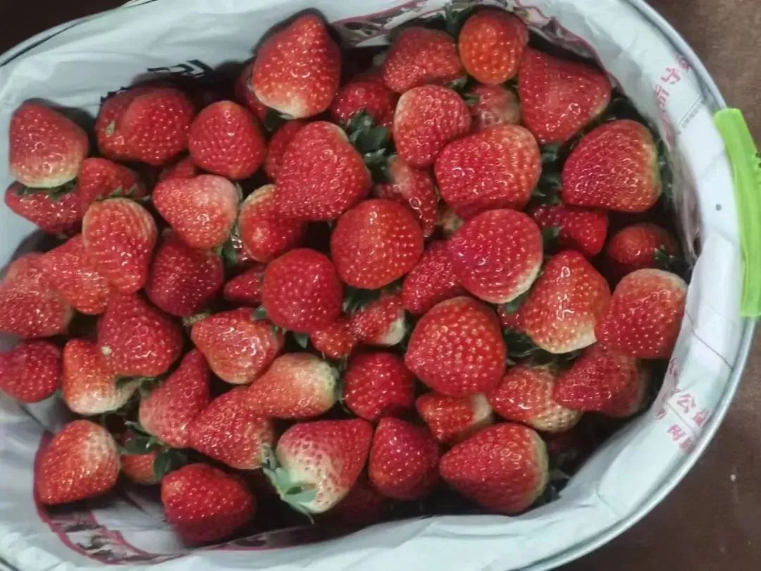 孩子们的快乐星球！周末带娃，肥西这些地方就够啦！