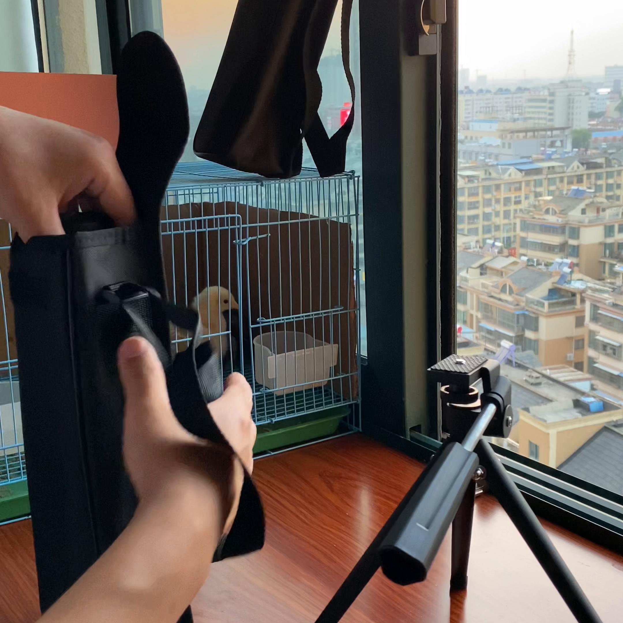 75倍观鸟镜什么效果,20-60倍观鸟镜