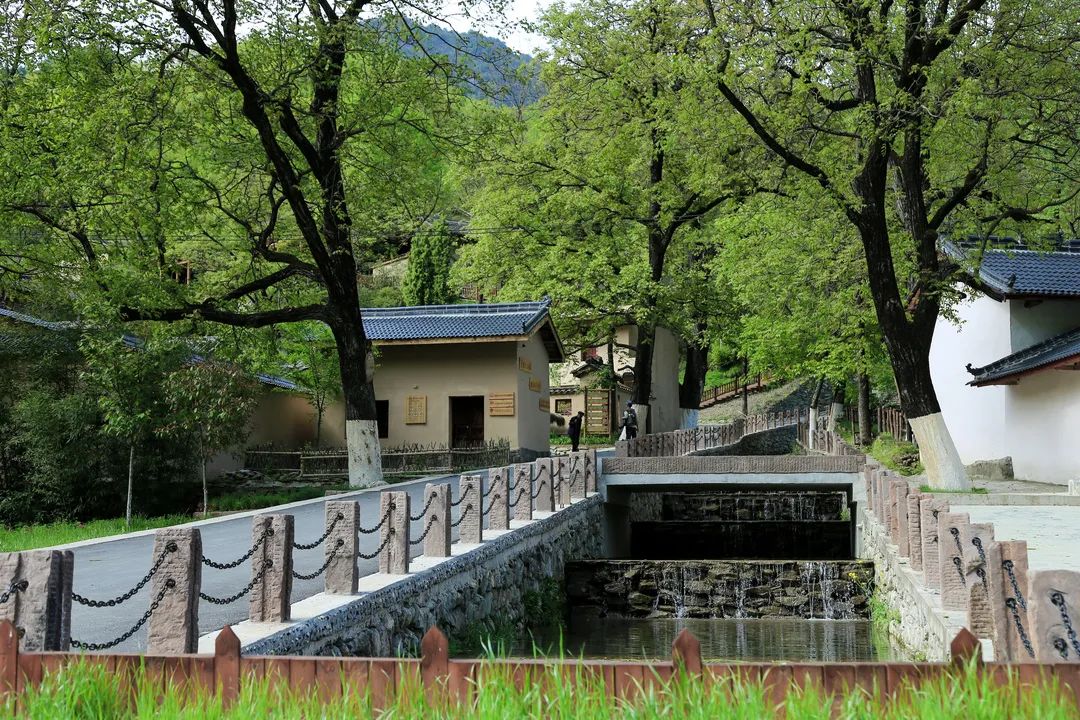 陇南旅游度假,陇南养生天堂旅游攻略