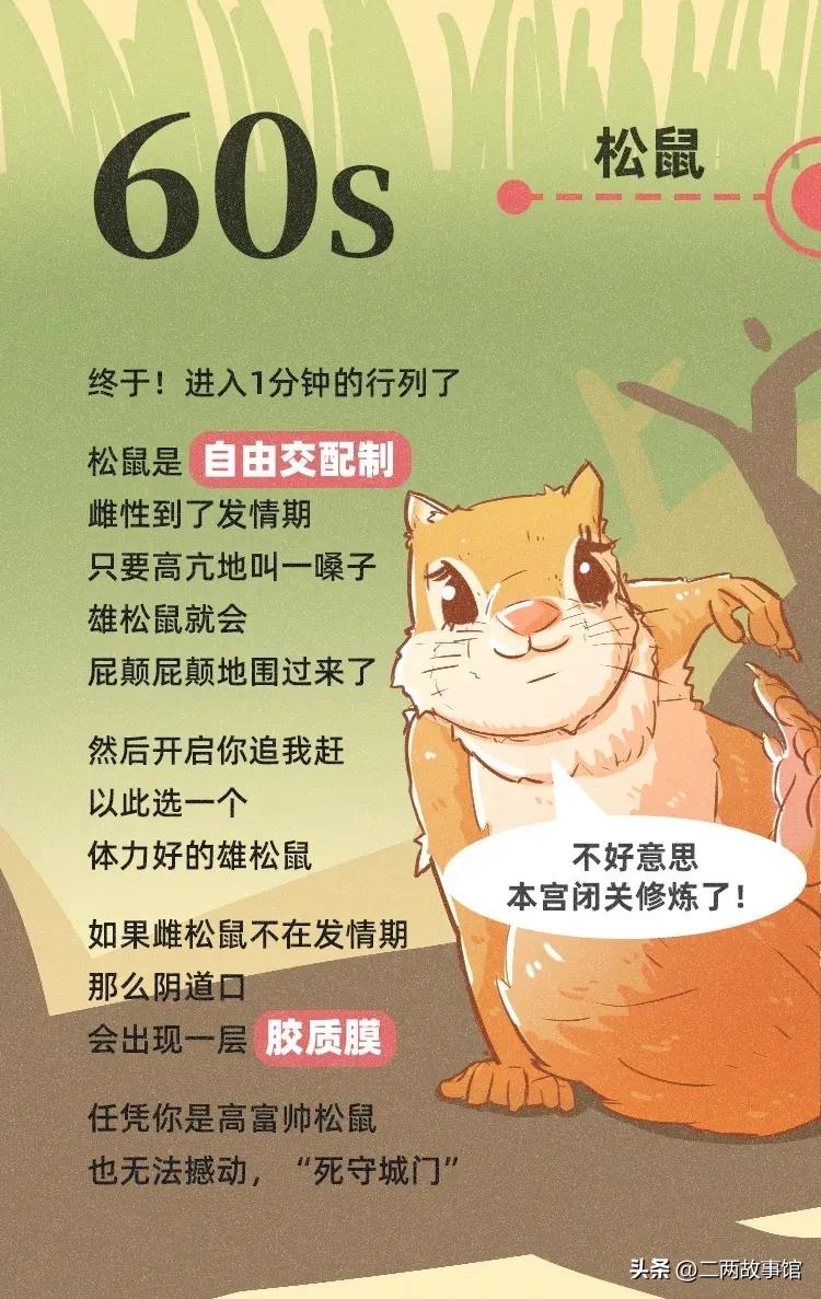 漫画：动物界交配时间轴