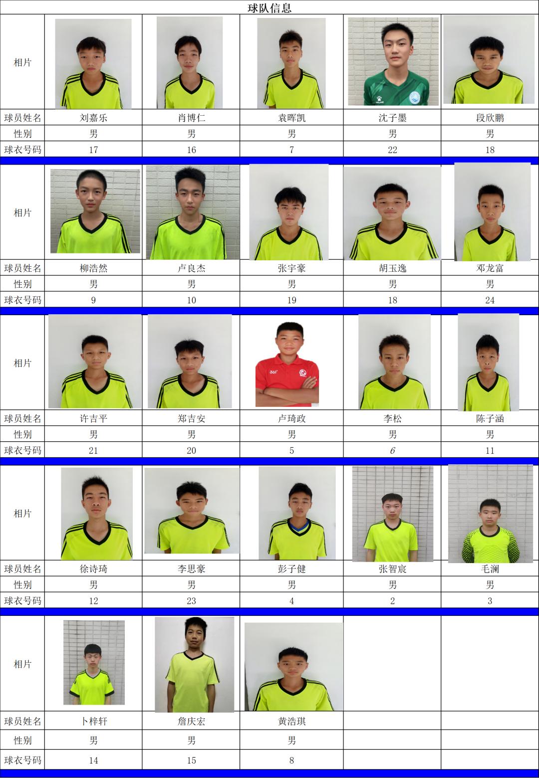 星耀五洲杯青少年足球u15德善,星耀五洲杯德善