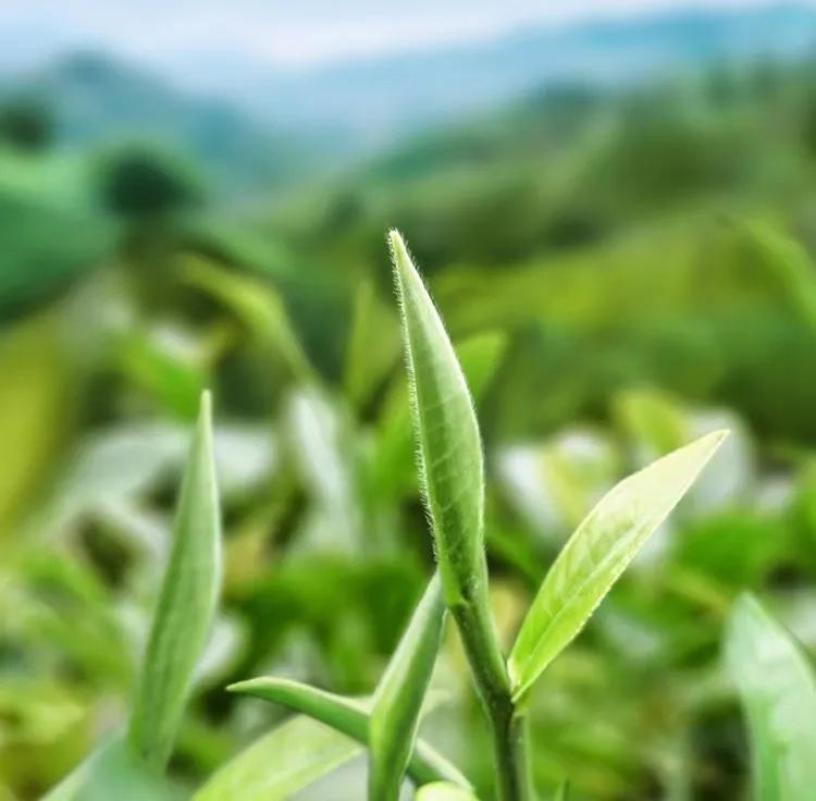 38有什么含义,38含义和寓意是什么