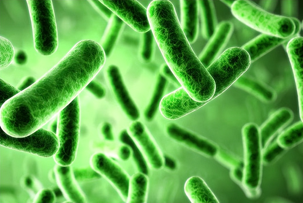 菌血症怎么治才能除根,菌血症最新治疗方法