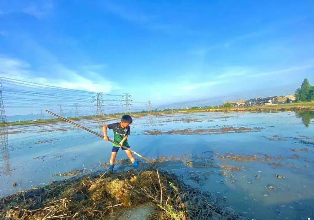宁波9岁小学生超硬核！穿着足球服种田，网友赞不绝口！
