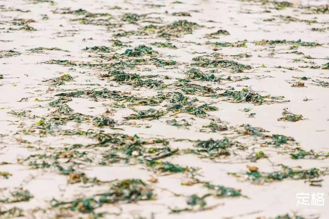 深圳海边哪里好玩20个海滩最美,深圳好玩的海边沙滩推荐免费