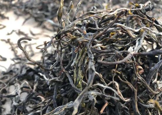 茶叶“造假”实在猖狂！这2种假茶，别再不知道！很多人还天天喝