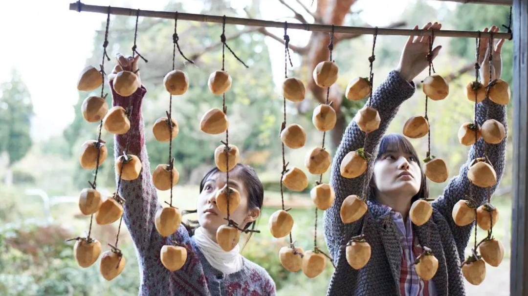 别关电视！电影音乐晚会过后，12部佳片即将放送