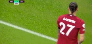 利物浦欧冠夺冠之路最新消息,利物浦2比1纽卡努涅斯