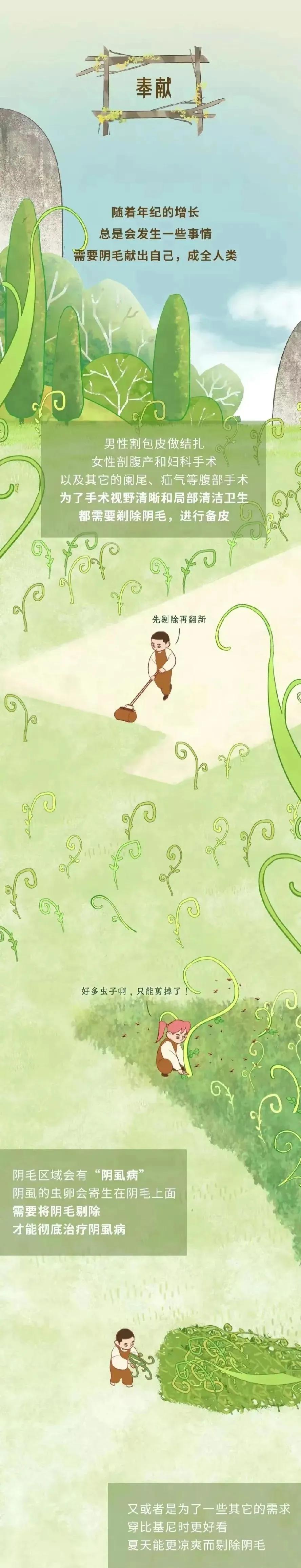 人类阴毛从出生到脱落的全过程