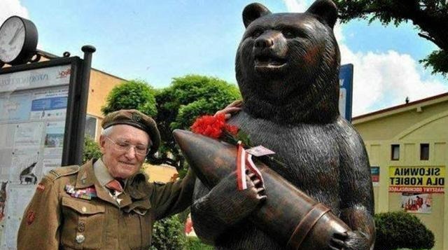 唯一参加过二战的棕熊与士兵训练,参加二战的俄罗斯熊