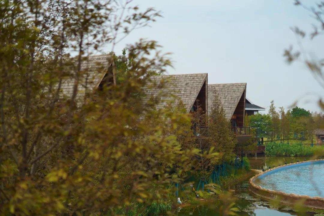 小精灵同款树屋绝了!遛娃的秘密基地,诗境家园里的度假圣地