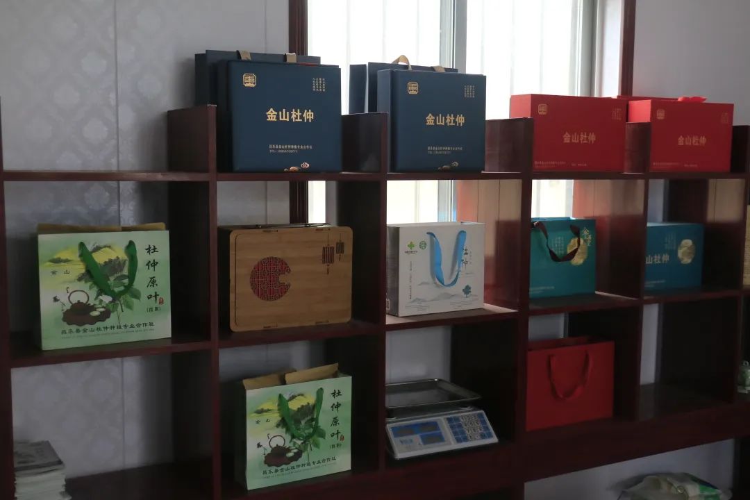 小产业带动乡村振兴大步伐,产业扶贫助力乡村振兴